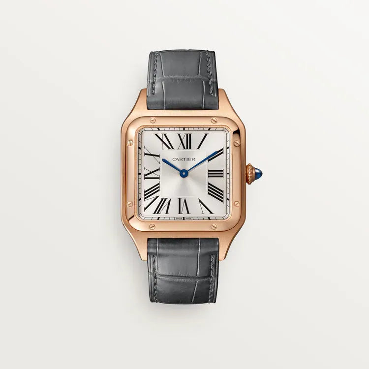 Colorful Ladies Men's Unisex Watch L951420