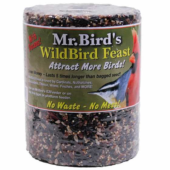 Woodpecker Feast Cylinder D624