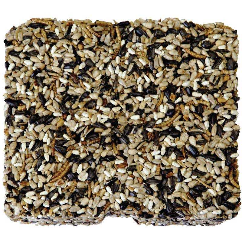 Seed & Mealworm Cake S46360