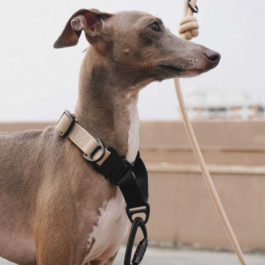 Waterproof Martingale Collar H3093