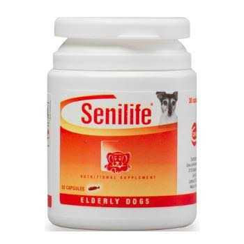 Nutritional Supplement for Elderly Dogs B91407