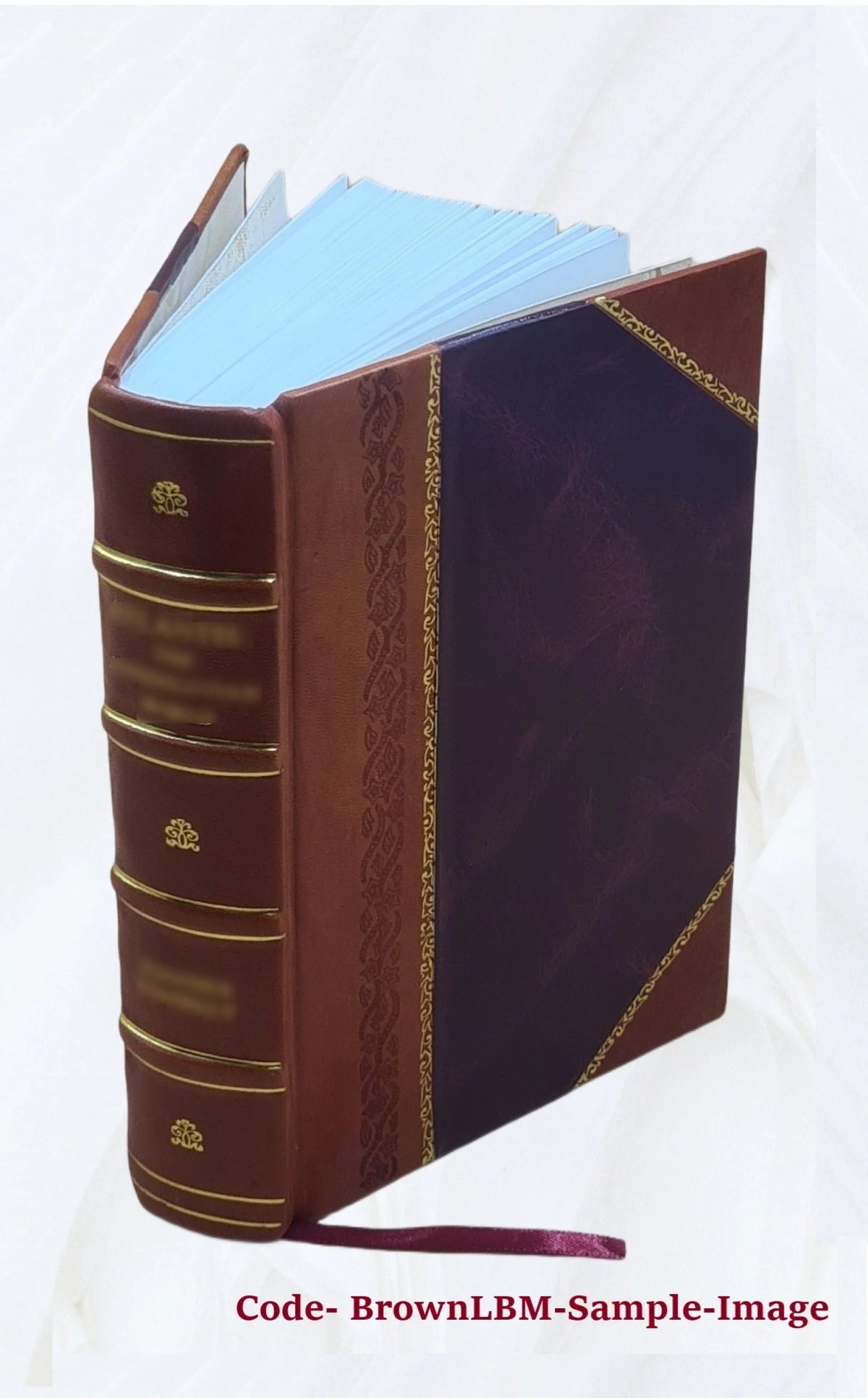 Leather Bound Calendar of State Papers Domestic Series W3222