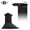 24 in. Wall Mount Range Hood Black Stainless Steel R1098
