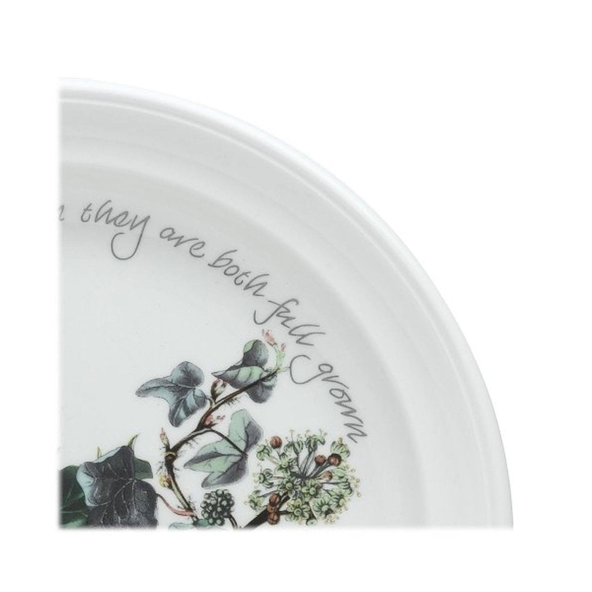 Salad Plate 20cm Set of 6 M5471