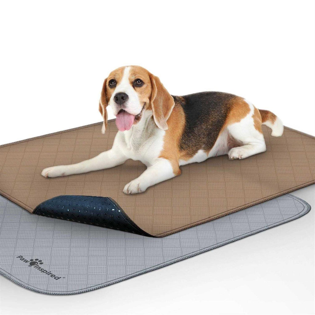 Washable Reusable Pee Pads for Dogs P6610