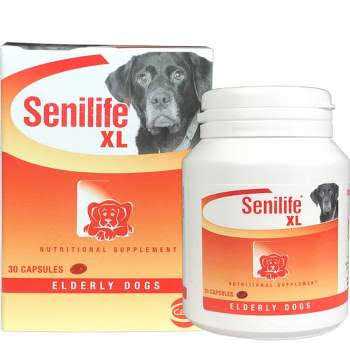 Nutritional Supplement for Elderly Dogs B91407