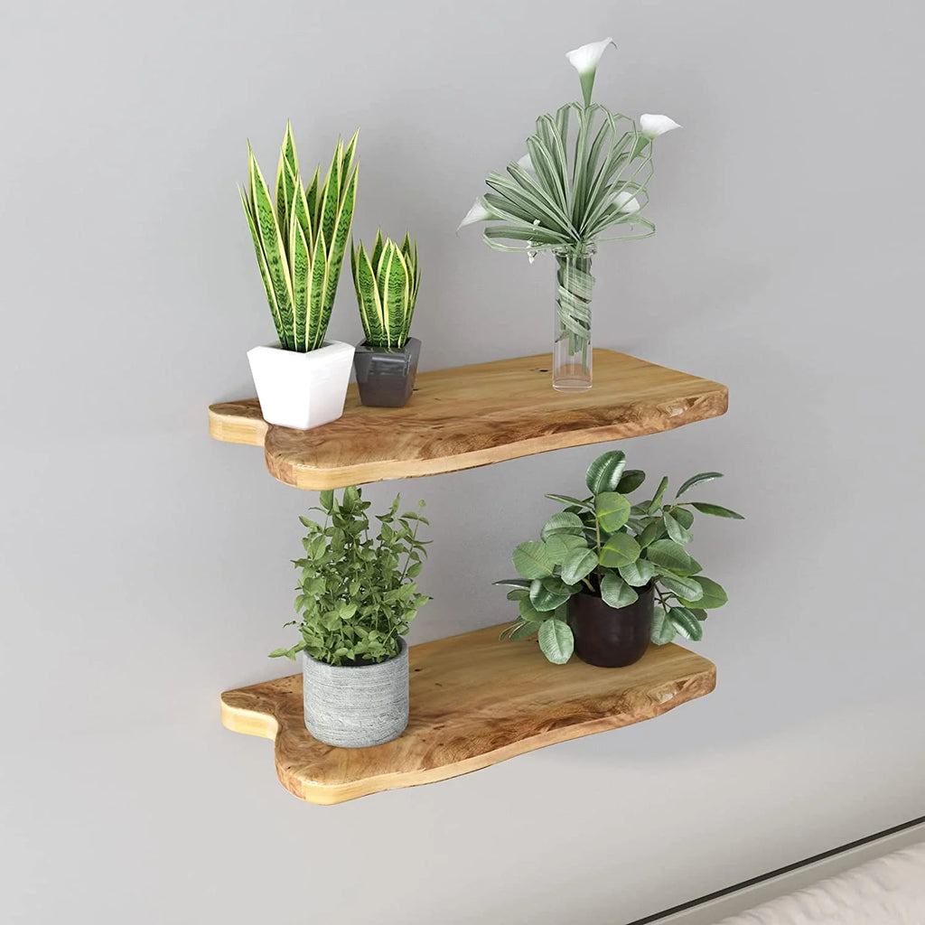 24 Inch Cedar Natural Edge Floating Shelf Set of 2 R2198