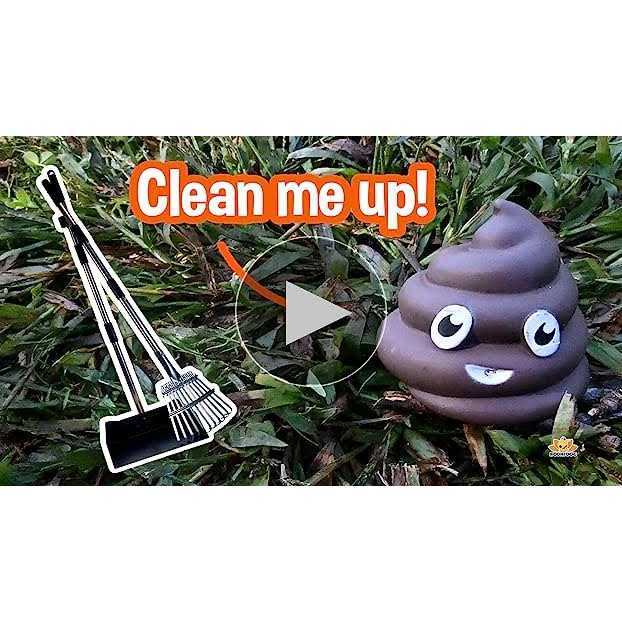 Metal Long Handle Tray and Rake Pooper Scooper W201