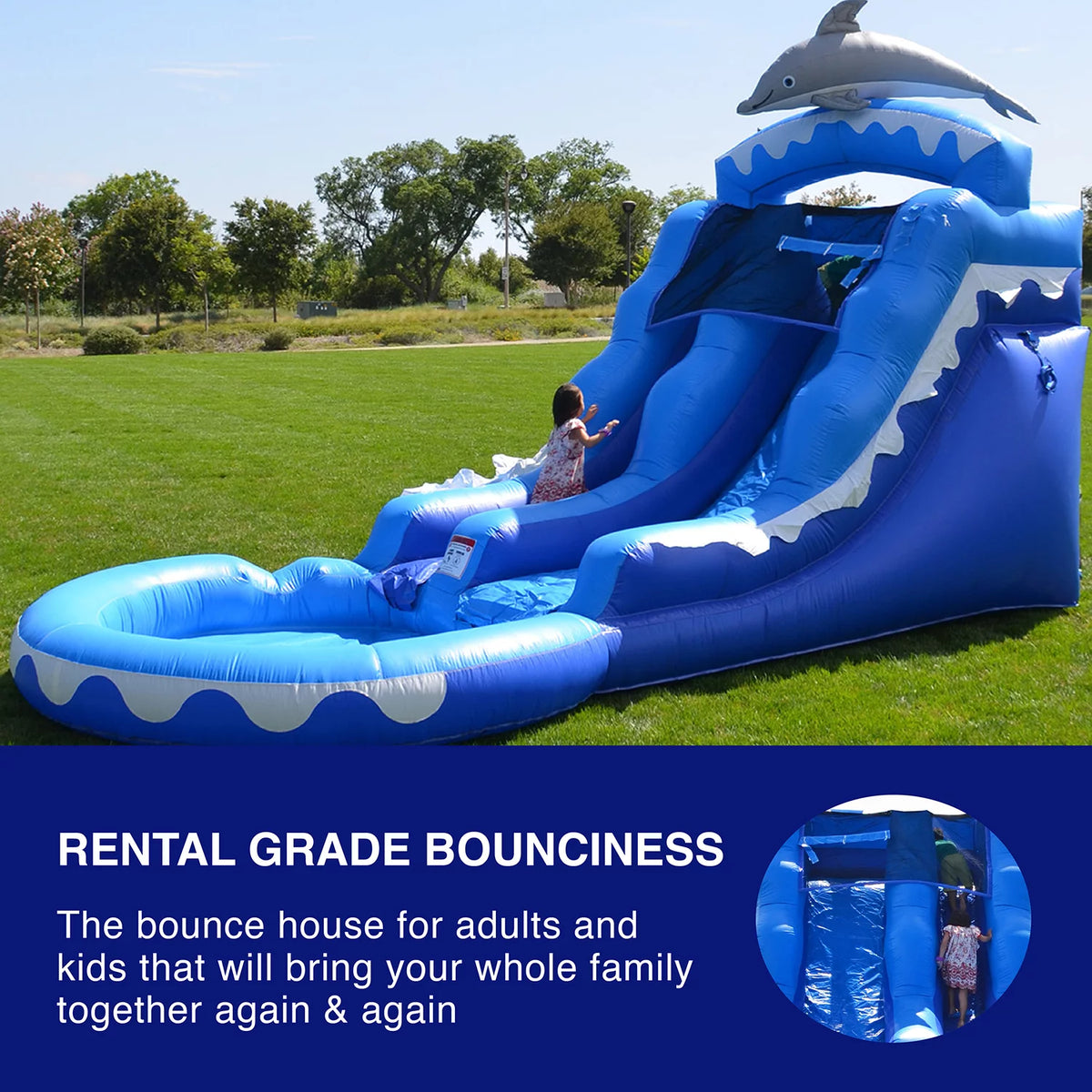 Dolphin Commercial Grade Water Slide with Pool I804