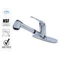 Hybrid Metal Kitchen Sink Faucet with Pull Out Sprayer E898584